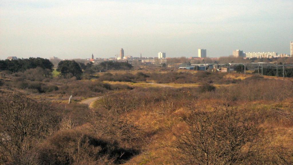 Continentaiz Appartement Zandvoort Bagian luar foto